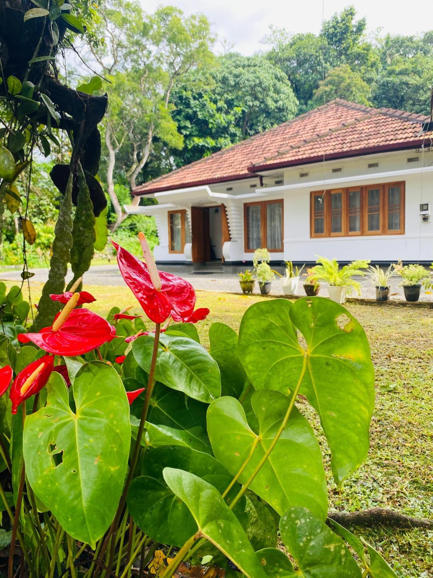 Happy Valley Residence Unawatuna Galle Kültér fotó